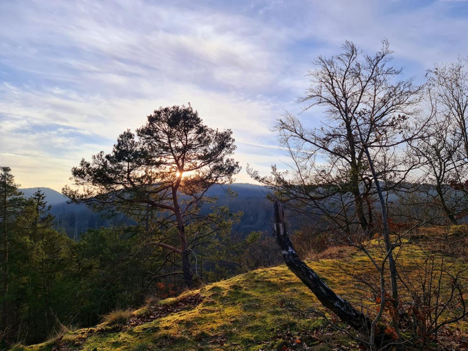 Ferienhaus Schoene Aussicht Ferienwohnung Gelb Hemfurth-Edersee Esterno foto